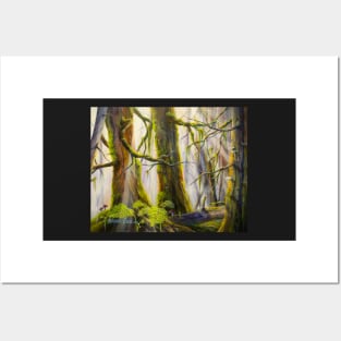 Rainforest Posters and Art